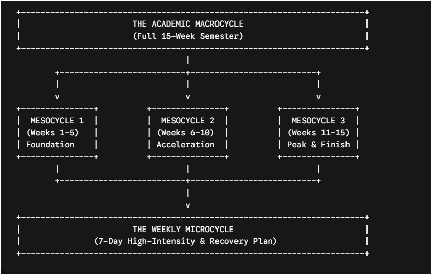 The Core Blueprint of Academic Periodization